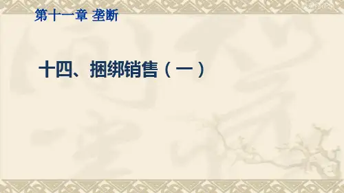 微观经济学(捆绑销售(一)
