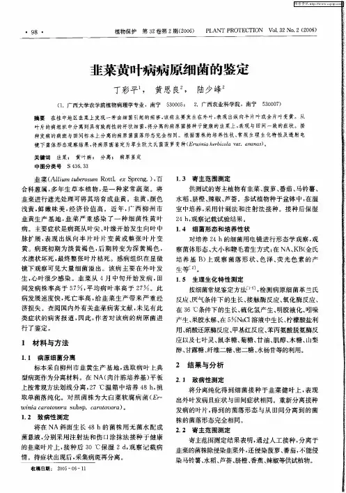 韭菜黄叶病病原细菌的鉴定