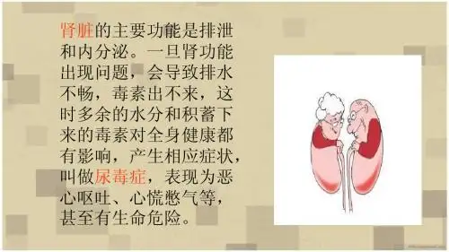 如何保护自己器官-肾