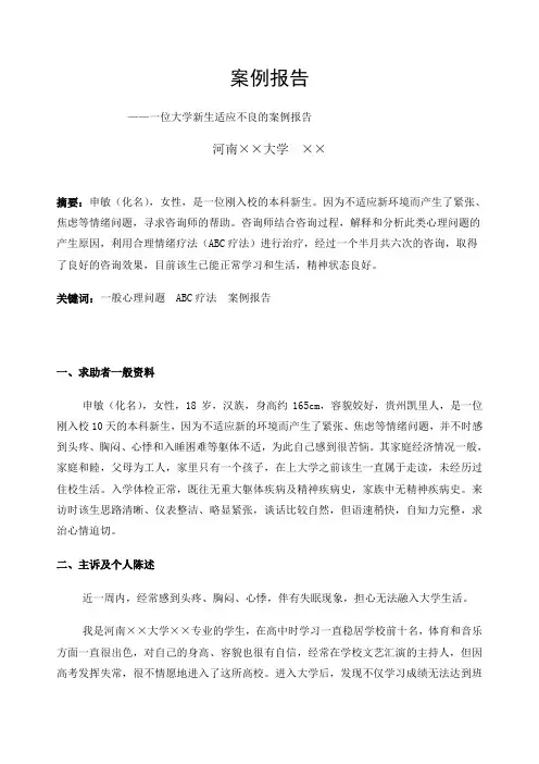 案例分析报告