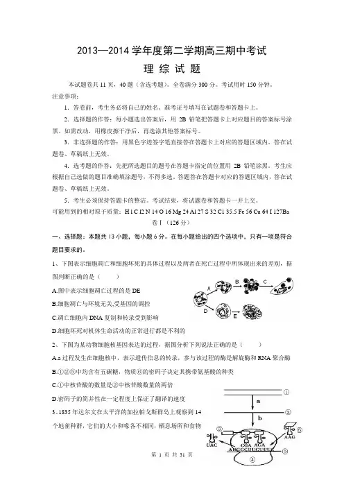 衡水中学2014年高三下学期期中考试理综试题及答案.