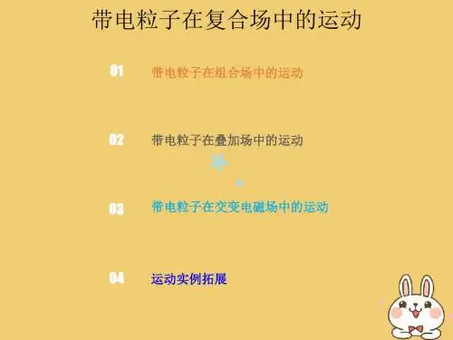 2019版高考物理总复习第九章磁场9-3-2带电粒子在复合场中的运动课件
