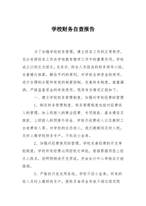 学校财务自查报告