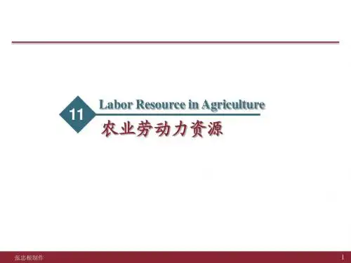 811农业劳动力资源
