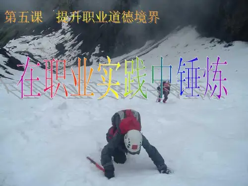 在职业实践中锤炼共15页
