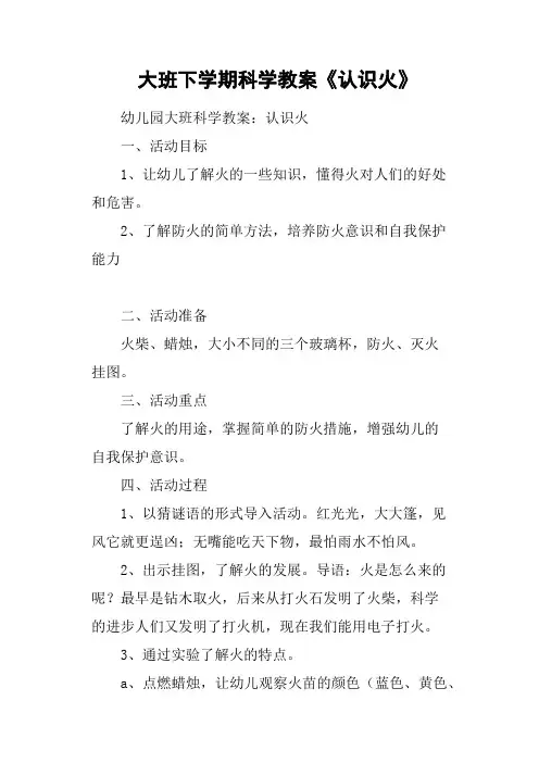大班下学期科学教案《认识火》