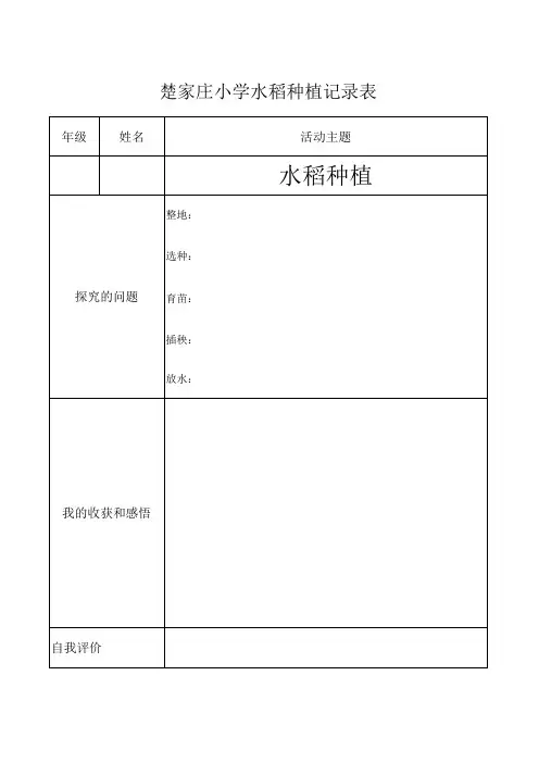 9综合实践活动水稻种植记录表11