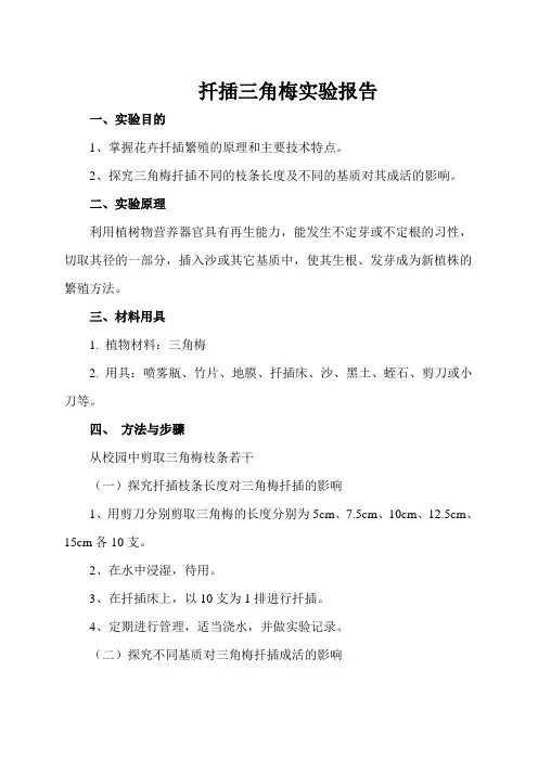 扦插三角梅实验报告