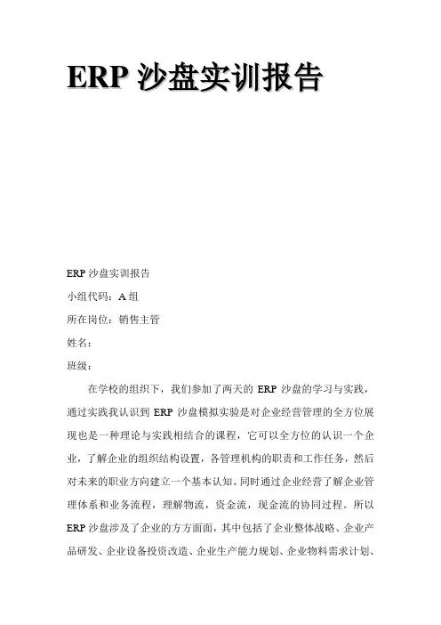 沙盘实训报告