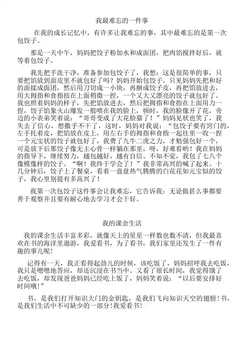 我最难忘的一件事 2