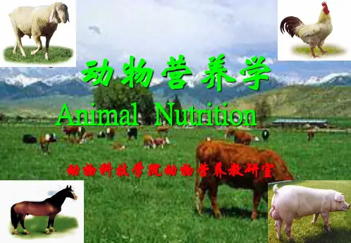 动物营养学课件1