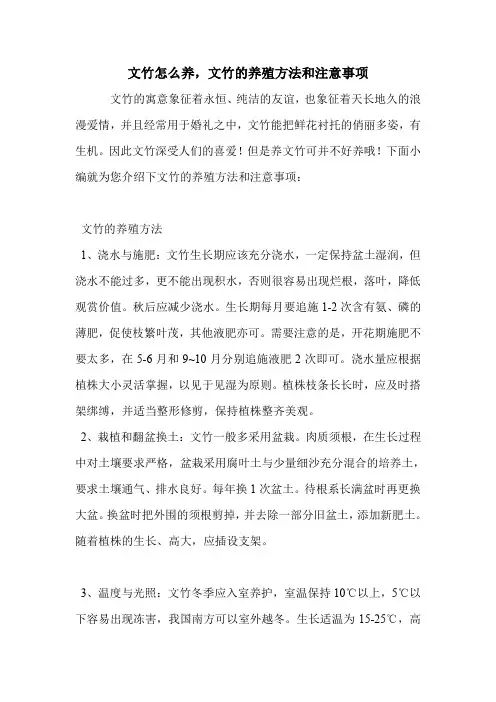 文竹怎么养,文竹的养殖方法和注意事项.doc
