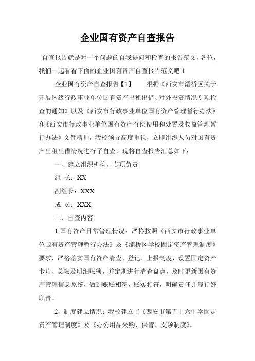 企业国有资产自查报告