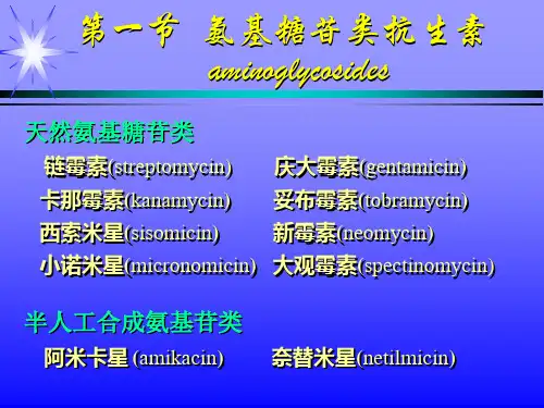 抗生素及人工合成