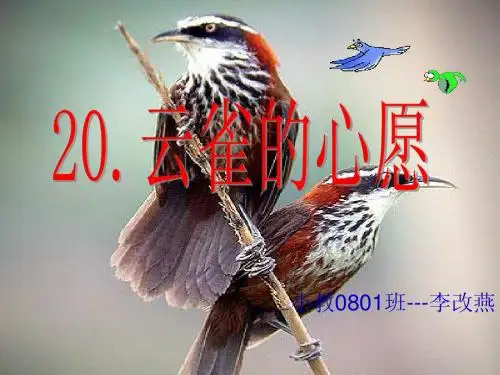 云雀的心愿教学课件