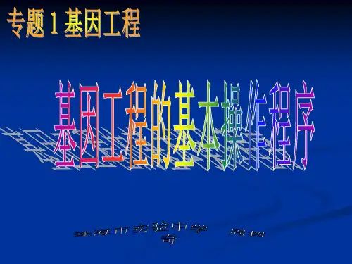基因工程-基因工程的基本操作程序1