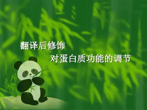 翻译后修饰对蛋白质功能的调节 (1)