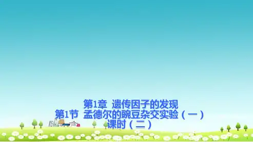 人教版必修二高中生物第一章遗传因子的发现1.1.2孟德尔的豌豆杂交实验(一)课件