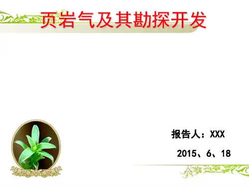 岩气及其勘探开发