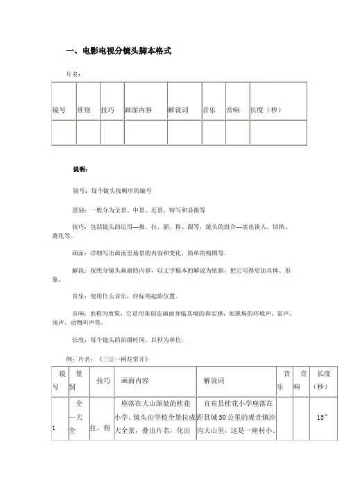 电影电视分镜头脚本格式