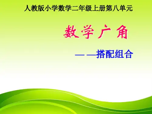 人教版二年级上册数学广角《搭配》