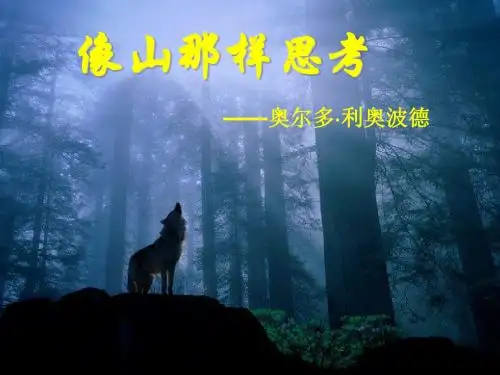 《像山那样思考》(2)
