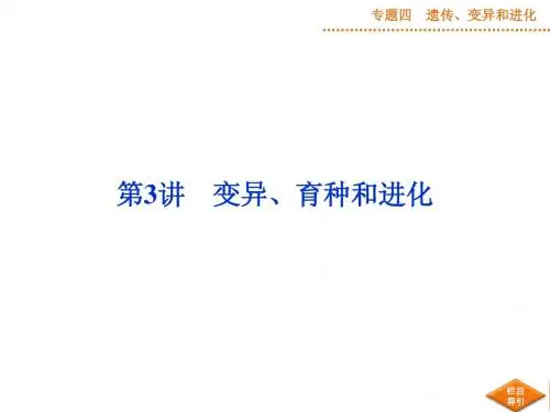 2014届高考生物二轮专题复习课件：专题四第3讲 变异、育种和进化