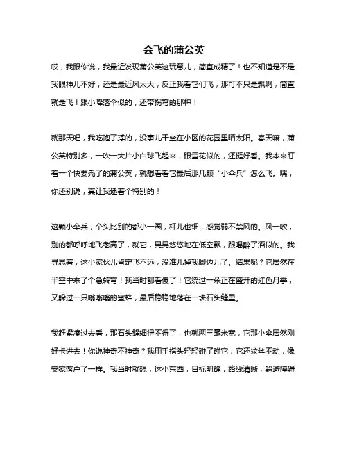 作文《会飞的蒲公英》 2
