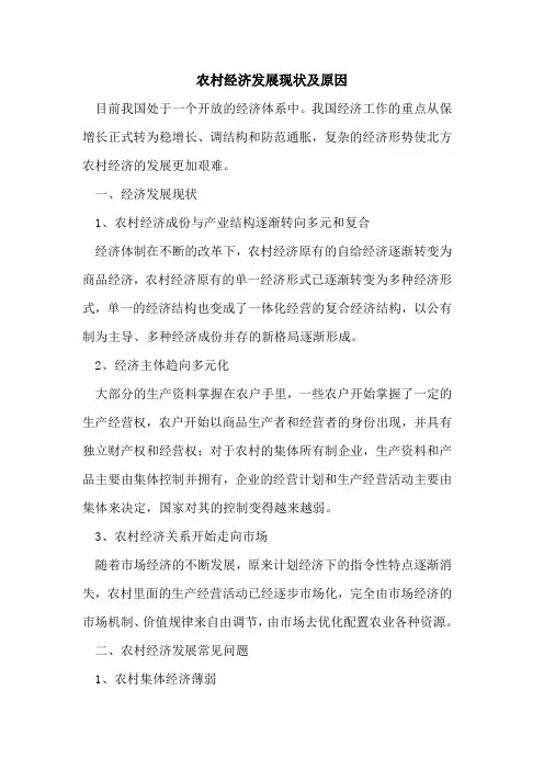 农村经济发展现状原因