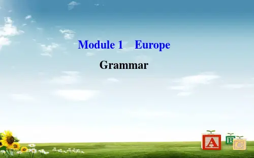 2018-2019学年高中英语(外研版)必修三配套课件:Module 1 Period 3 Grammar 语法专题课 精讲优练课型