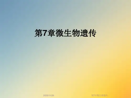 第7章微生物遗传