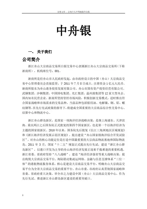 中舟银简介