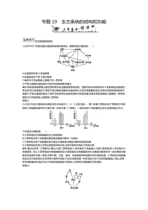 专题19生态系统的结构和功能(高三生物第一轮复习)免费2013届