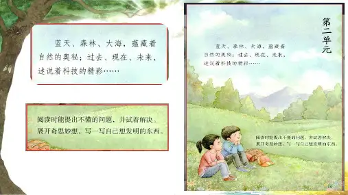 《琥珀》名师课件(第一课时)