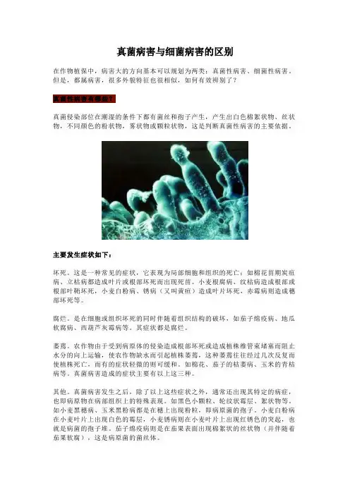 真菌病害与细菌病害的区别