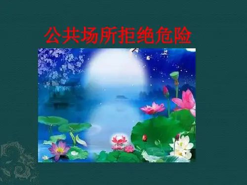 公共场所拒绝危险  课件