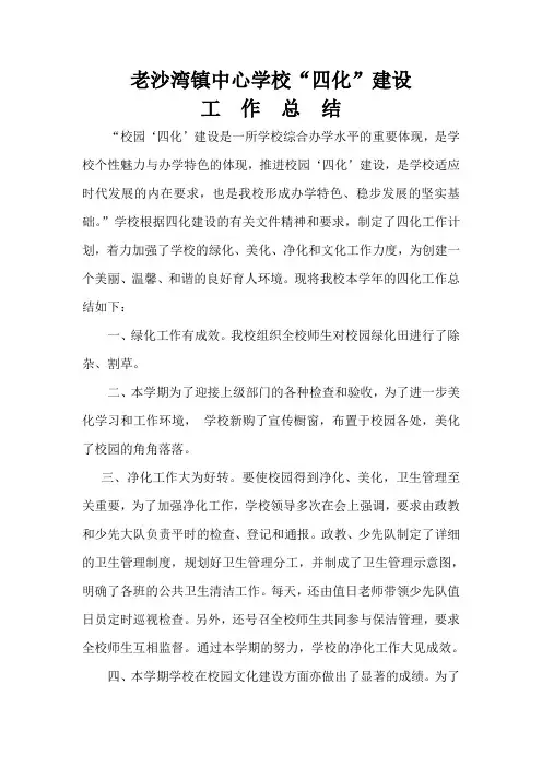 老沙湾镇中心学校四化建设总结
