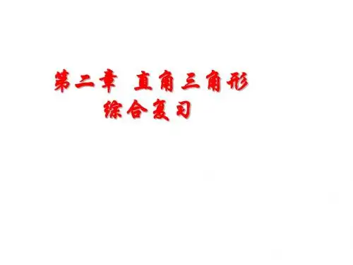 第二章 特殊三角形(直角三角形)复习--