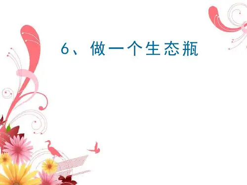 6.《做一个生态瓶》教学课件