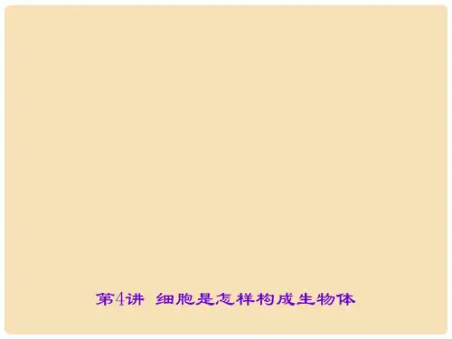 中考生物 第二单元 生物体的结构层次 第4讲 细胞是怎样构成生物体课件 新人教版