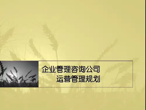 咨询公司运营管理规划
