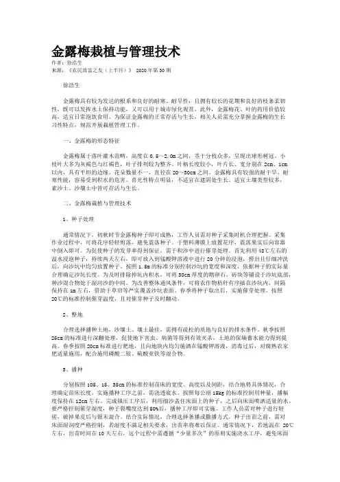 金露梅栽植与管理技术