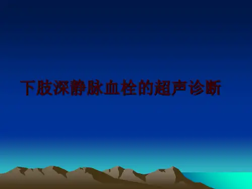 最新下肢深静脉血栓的超声诊断