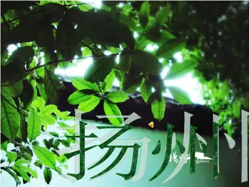 扬州