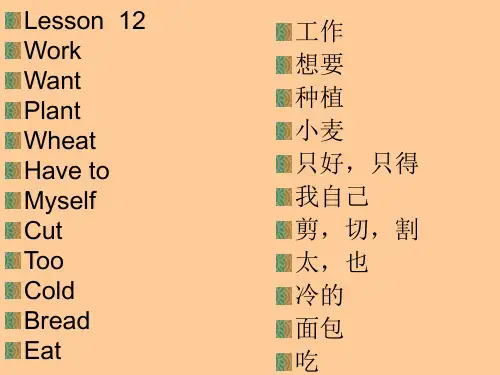 科普版四年级上下册单词总复习