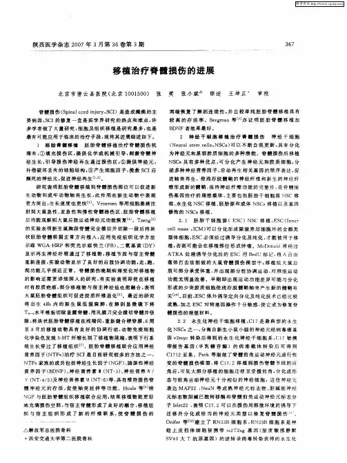 移植治疗脊髓损伤的进展