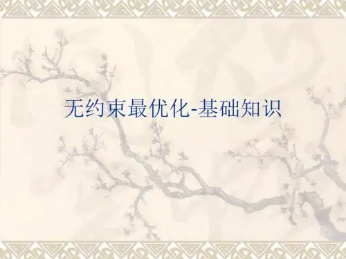 计算智能 非线性优化计算(1)