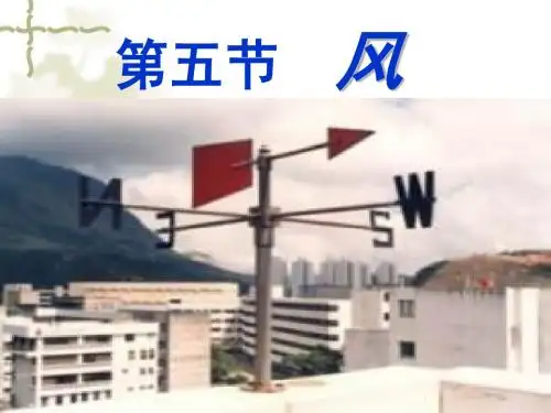 风