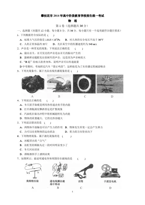 四川省攀枝花市2014年中考物理试题(word版,含答案)