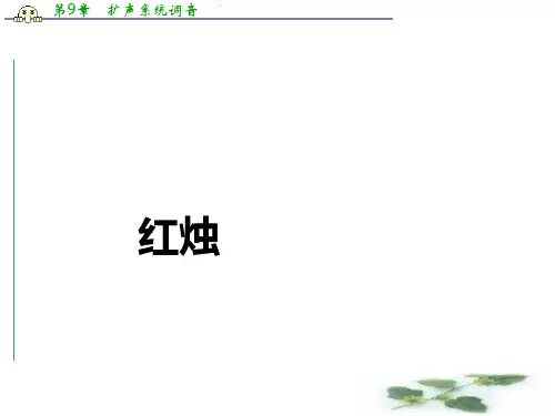 高中新教材语文人教必修上册课件:第一单元 第2课 红烛
